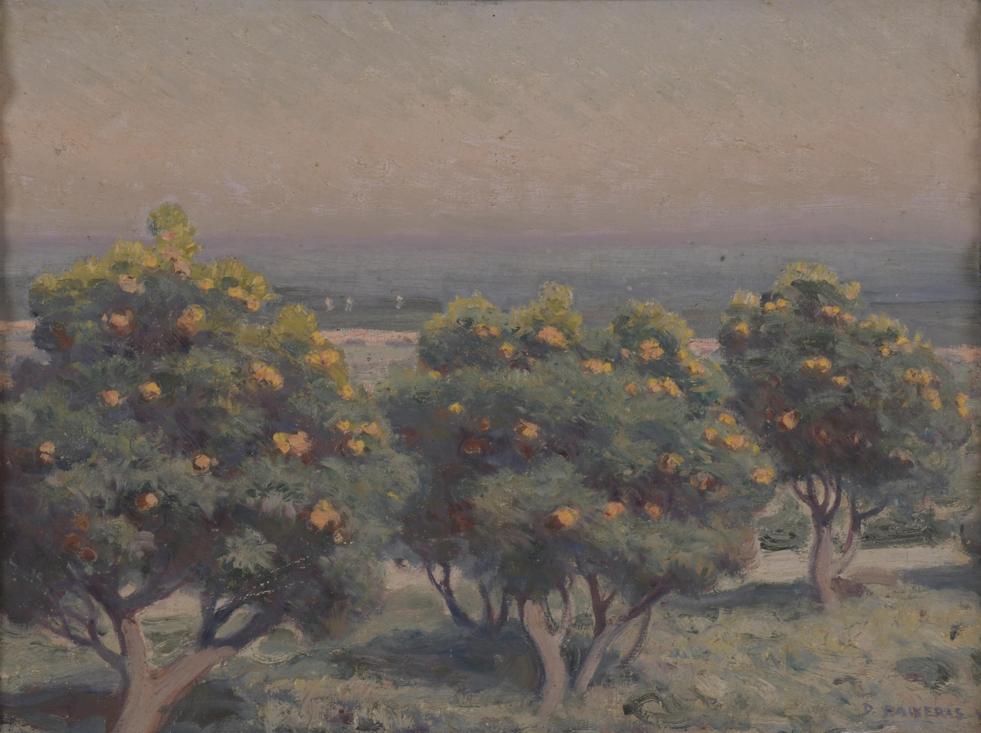 DIONÍS BAIXERAS (1862-1943). "ORANGE TREES".