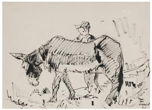 JOSEP AMAT PAGES (1901-1991). "BURRO".