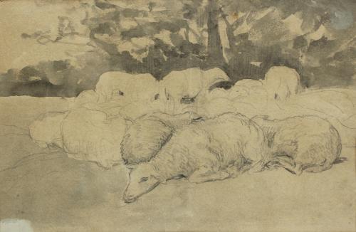 SECOND HALF 19TH CENTURY CATALAN SCHOOL. "SHEEP" (179). 