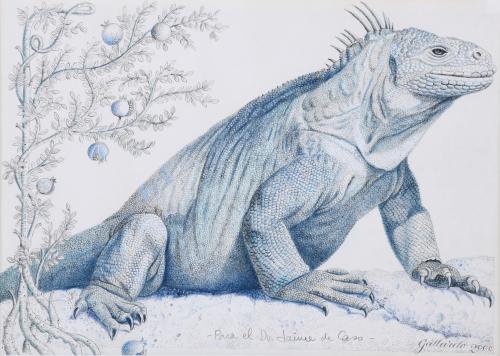 GALLARDO (SIGLO XX).  "IGUANA", 2000.