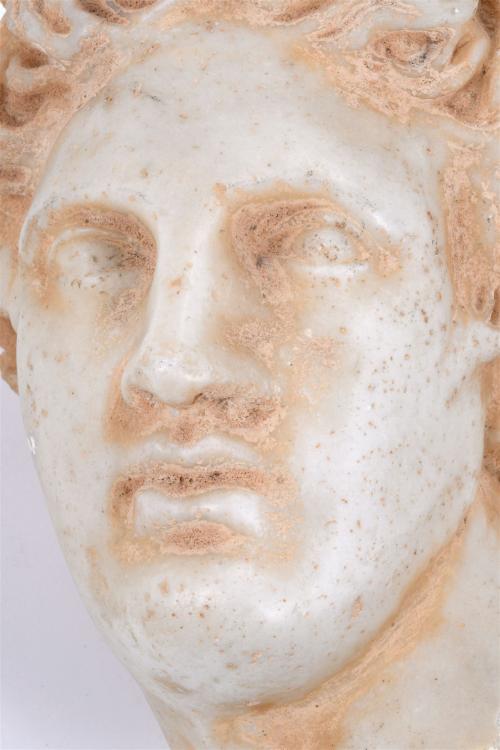 20TH CENTURY ITALIAN SCHOOL "APOLLO&#39;S HEAD". AFTER MODEL OF