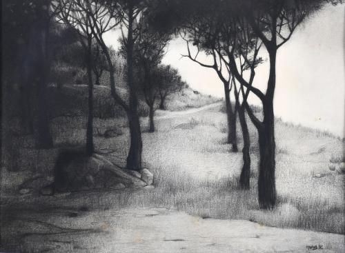 ANA MARÍA MUÑOZ REYES (1937). "LANDSCAPE".