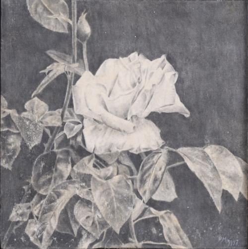 PEDRO MORENO MEYERHOF (1954). "ROSA BLANCA", 1997.