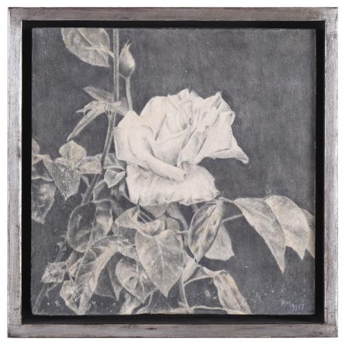 PEDRO MORENO MEYERHOF (1954). "ROSA BLANCA", 1997.