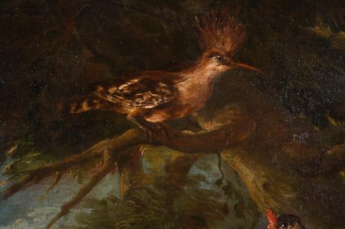 ATTRIBUTED TO JEAN-BAPTISTE OUDRY (1686-1755) "BIRDS AND FL