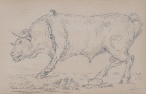 MARIANO BENILLURE Y GIL (1862-1947). "TORO".