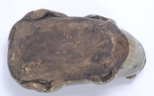 19TH CENTURY CHINESE SCHOOL. SMALL TERRACOTTA FROG.