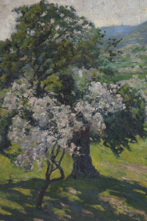 JUAN FUSTER BONNIN (1870-1945). "ÁRBOLES".