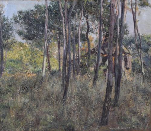 711-AGAPITO CASAS ABARCA (1874-1964). "FOREST".