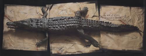 ALEXIS DE VILAR (1948). "CROCODILE".