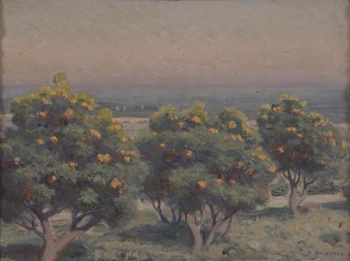 622-DIONÍS BAIXERAS (1862-1943). "ORANGE TREES".